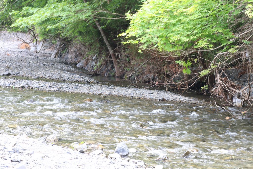 浦山川の上流