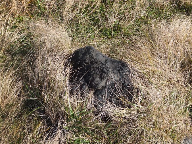 大室山の岩（2020年12月）