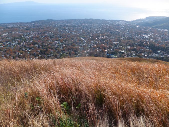 大室山のススキと初冬の伊豆高原（2020年12月）