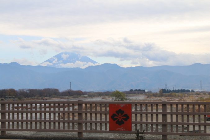 富士山と武田花菱（2020年11月）