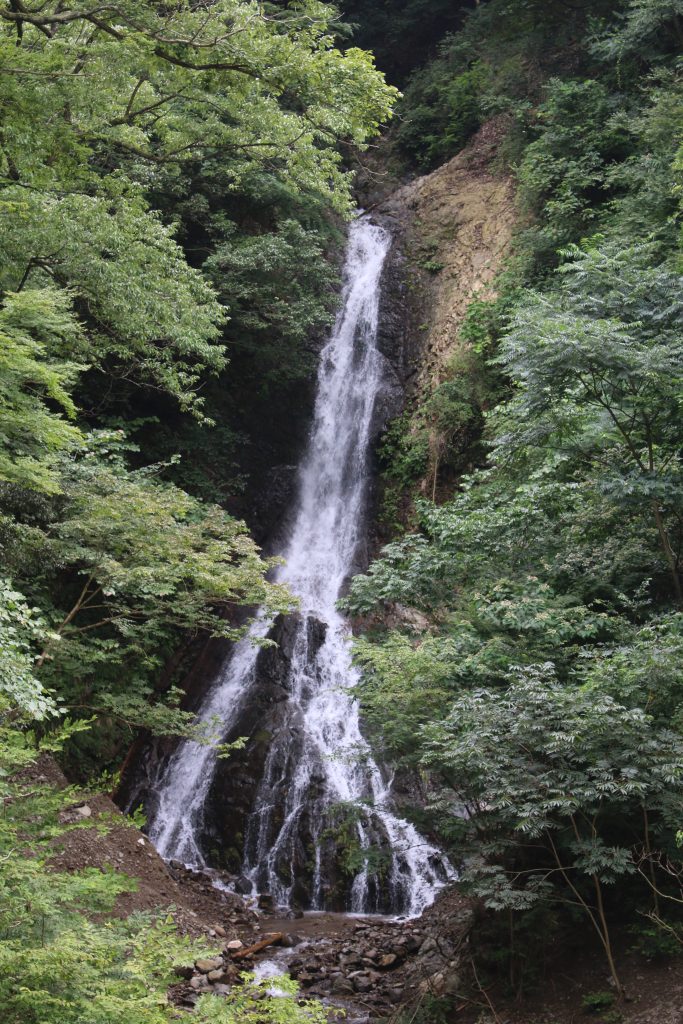 あいかわ公園内大沢の滝（2020年8月）