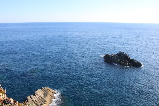 足摺岬から南を望む（2020年12月）