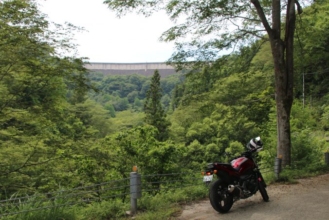 三波峡へ続く道（2021年5月）