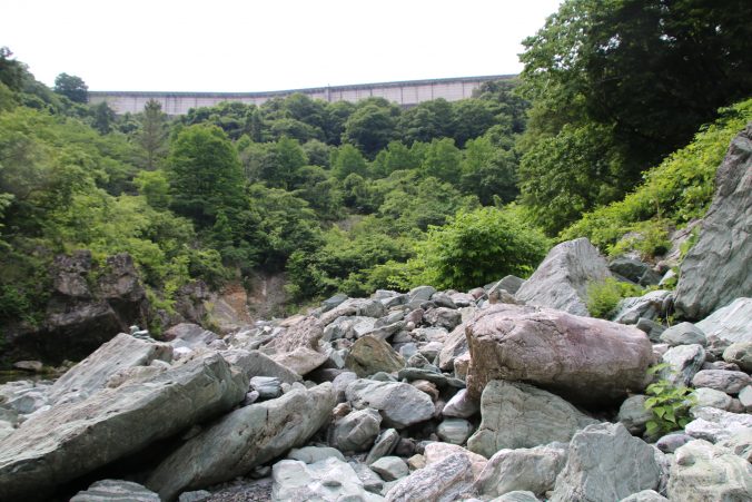 三波石の写真（２０２１年５月）