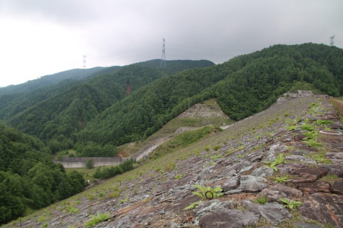 上日川ダム下流側堤体（2021年6月）