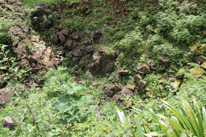 一夜城井戸曲輪の井戸？（2021年7月）