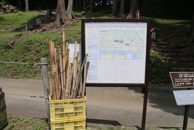 一夜城の竹の杖（2021年7月）