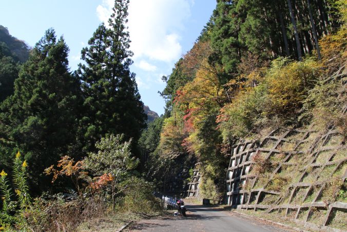 奥多摩入間白岩林道の紅葉（2021年11月）