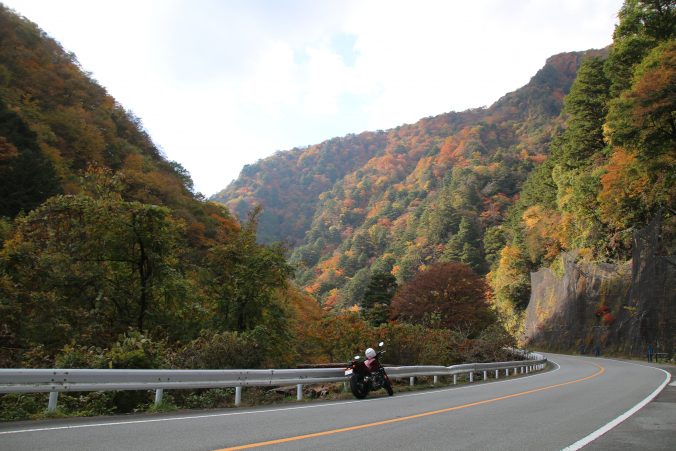 大菩薩ラインの紅葉（2021年11月）