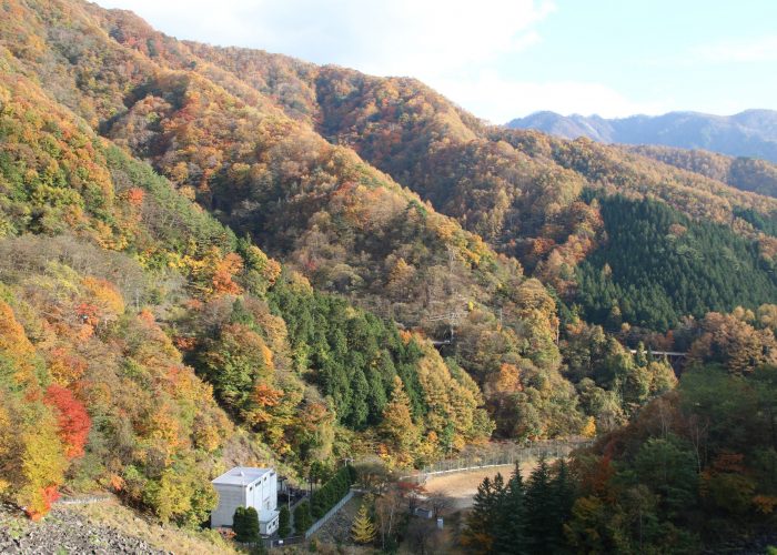 広瀬ダムから見た紅葉（2021年11月）