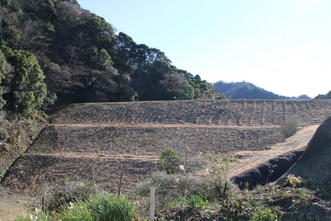 戸面原ダムの堤体を下流から望む（2021年12月）