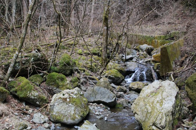 倉掛林道の行き止まり