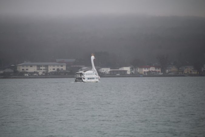 山中湖の白鳥の湖