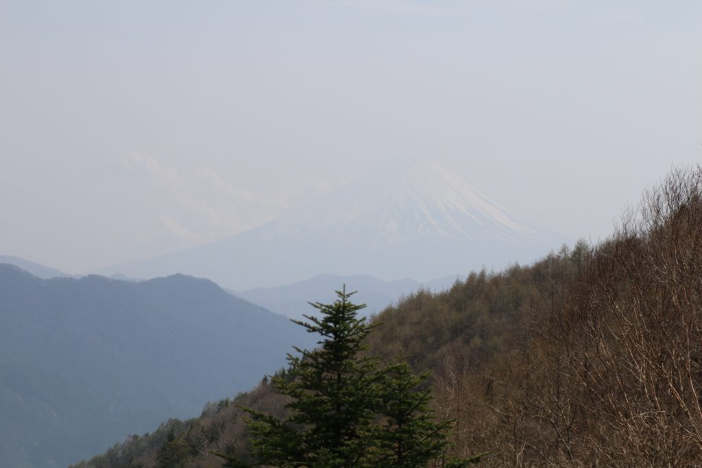 柳沢峠から富士山を望む