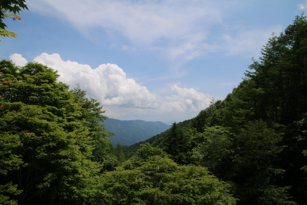 柳沢峠から富士山が見えない（2022年6月）