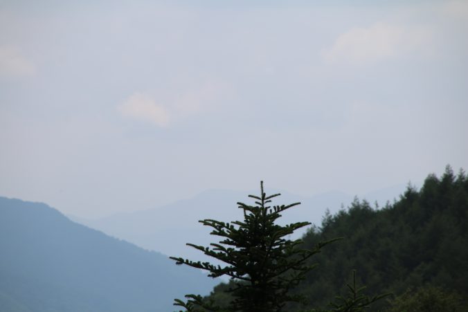 富士山が見えない柳沢峠（2022年8月）