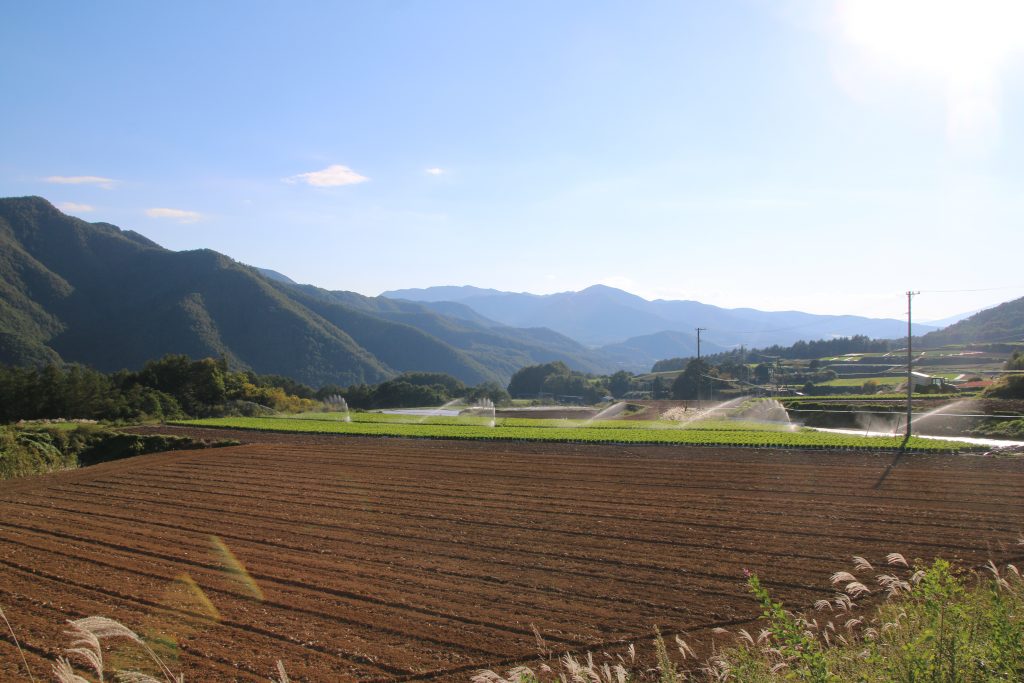 清川村の農業用スプリンクラー（2022年10月）