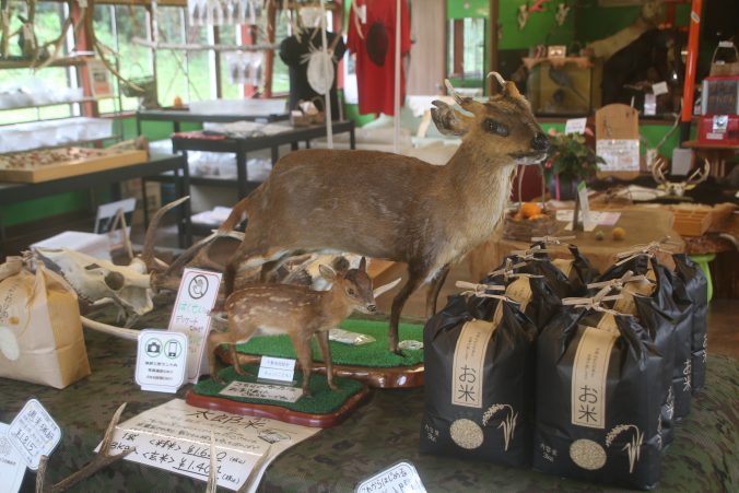 キョン＠猟師工房（2022年10月）