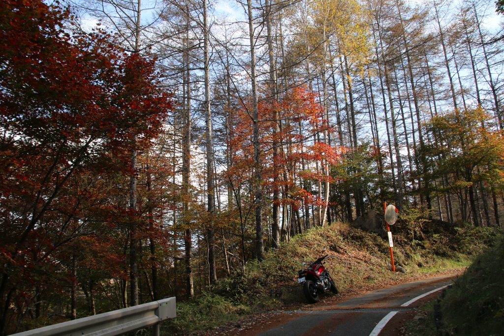 中日川峠手前の紅葉（2022年10月）