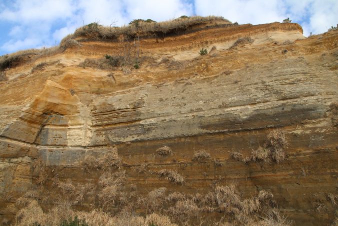 各年代の火山灰が堆積して出来た地層（2023年1月）