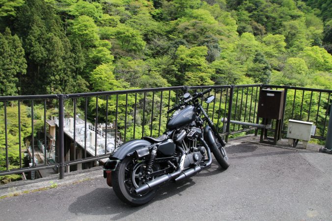XL883n/IRON883　右側