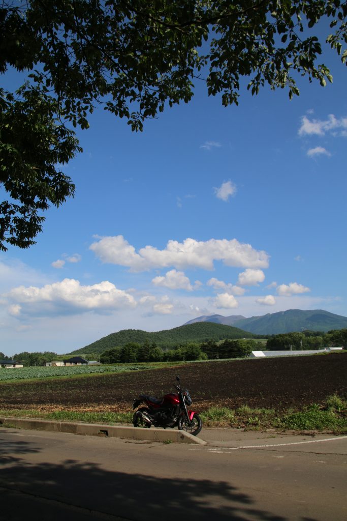浅間山と嬬恋のキャベツ畑（2023年7月）