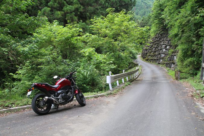 奥多摩の林道某所（2023年7月）