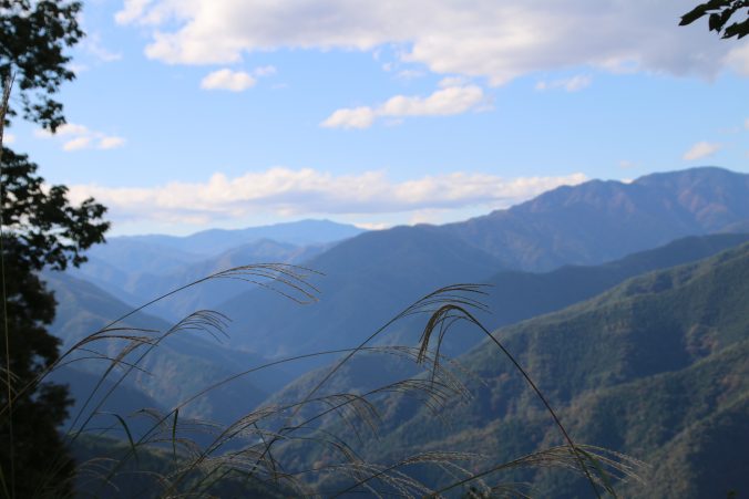 右側鷹ノ巣山、左奥やや低く七つ石山、その右奥雲取山