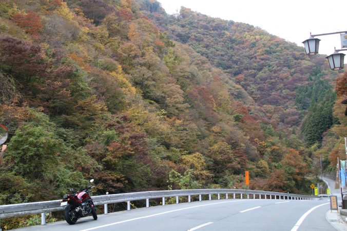 国道299号と紅葉＋NC750S（2023年11月）