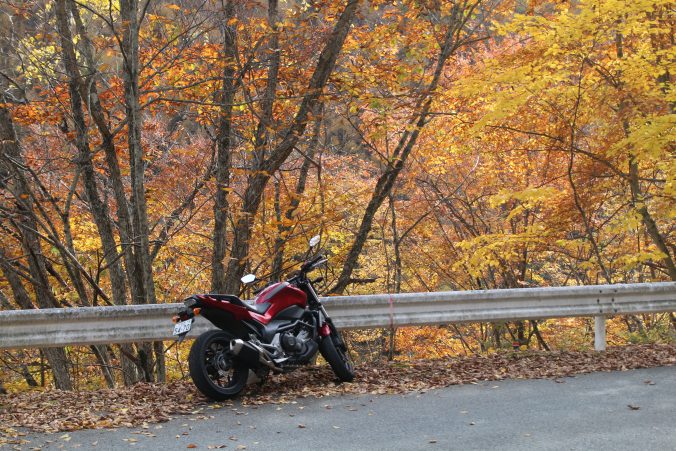 国道299号の紅葉ー2（2023年11月）