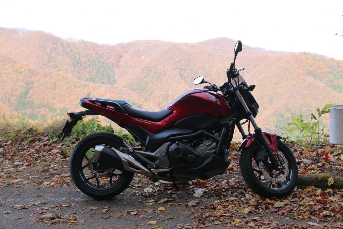 国道299号の紅葉ー4（2023年11月）