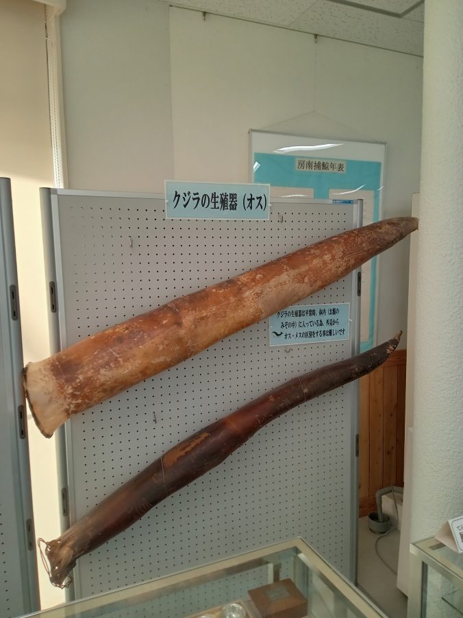 クジラの愛鍵（2023年12月）