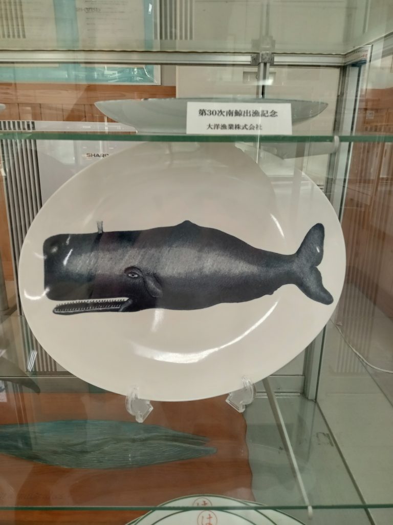 マッコウクジラ柄の皿（2023年12月）