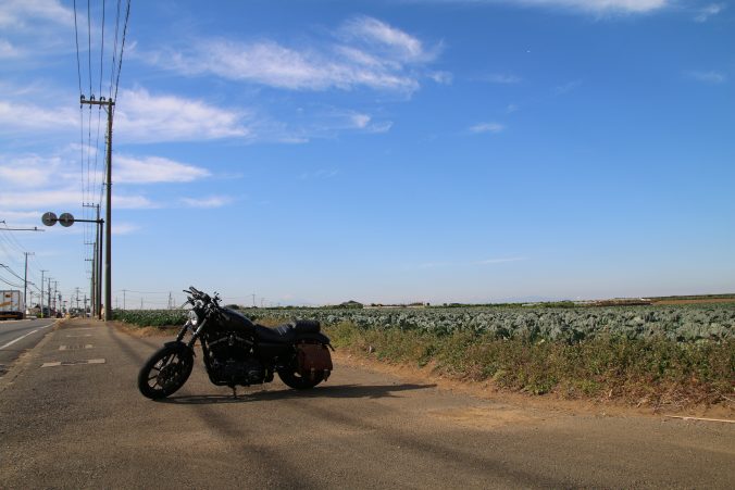 青空、キャベツ畑、ハーレー（2023年12月）