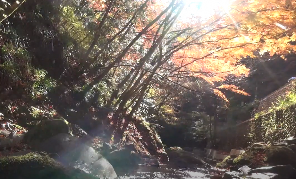 神戸の渓流と紅葉
