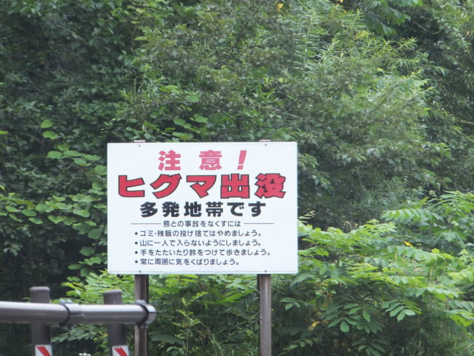 ヒグマ出没！（2014年8月）