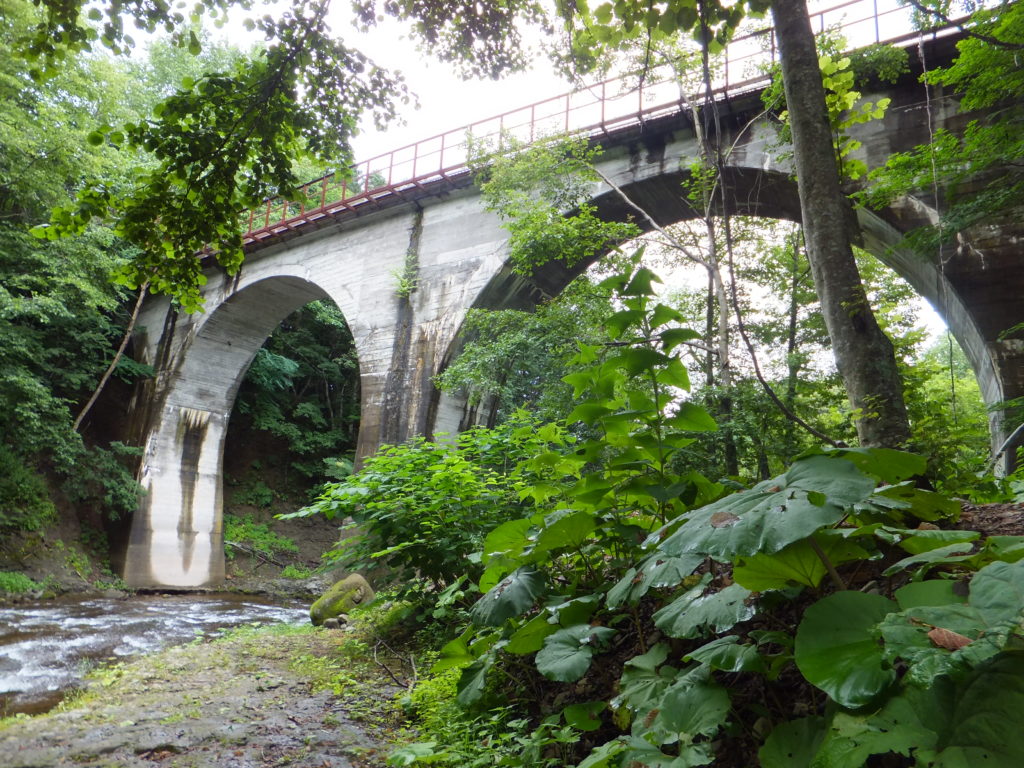 糠平川橋梁（2014年8月）