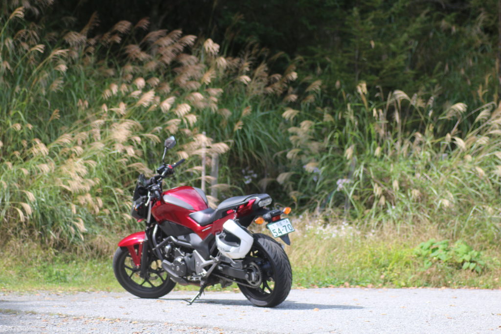 柳沢峠のススキとNC750S