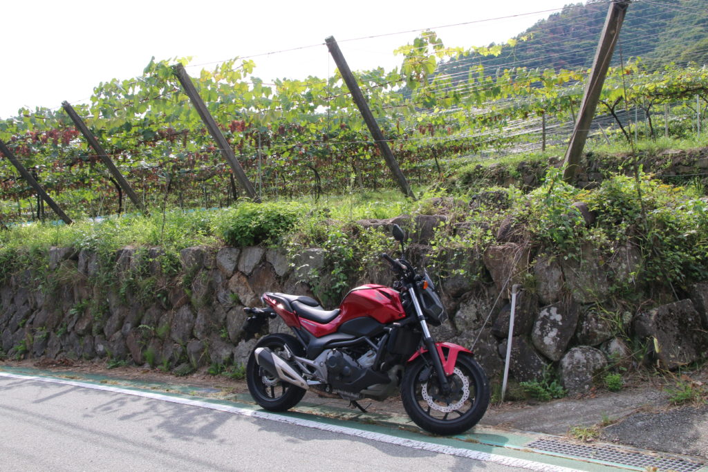 山梨県甲州市のブドウ畑とNC750S