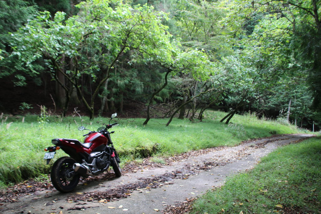 鈴倉山林道でNC750S