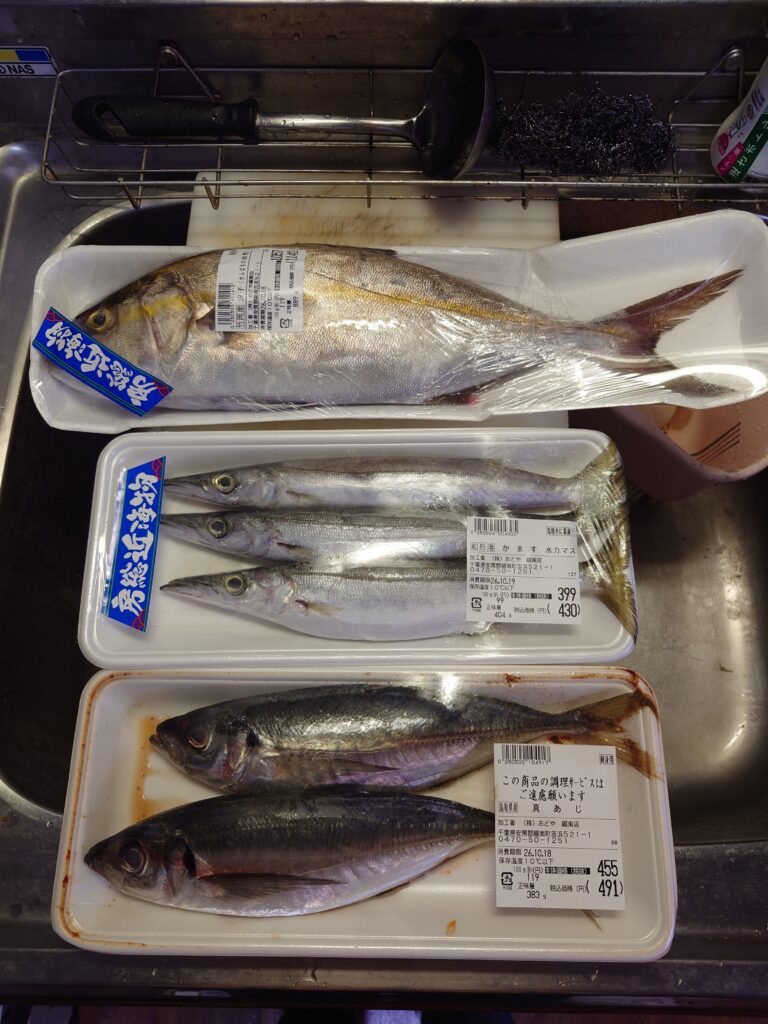 保田で購入した魚(2026年10月)